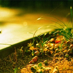 dailyPhoto4